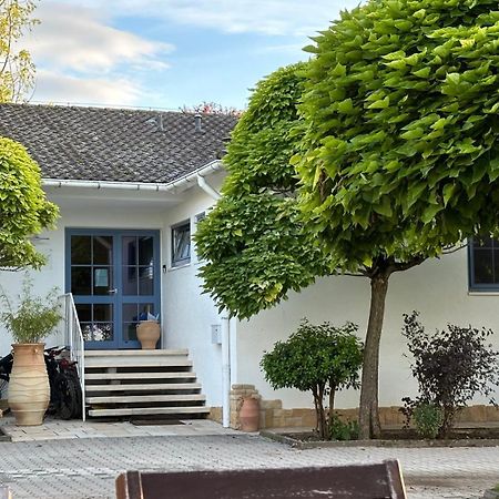 Gaestehaus Eschment Bissersheim Dış mekan fotoğraf